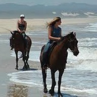Horse Riding Jeffreys Bay