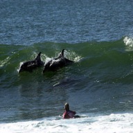 Surf Lessons Jeffreys Bay