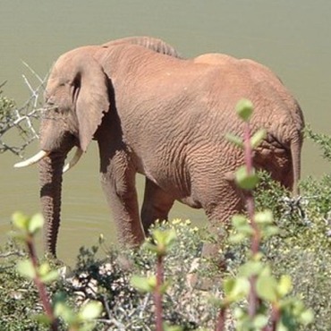 Day Tours and Excursions Jeffreys Bay